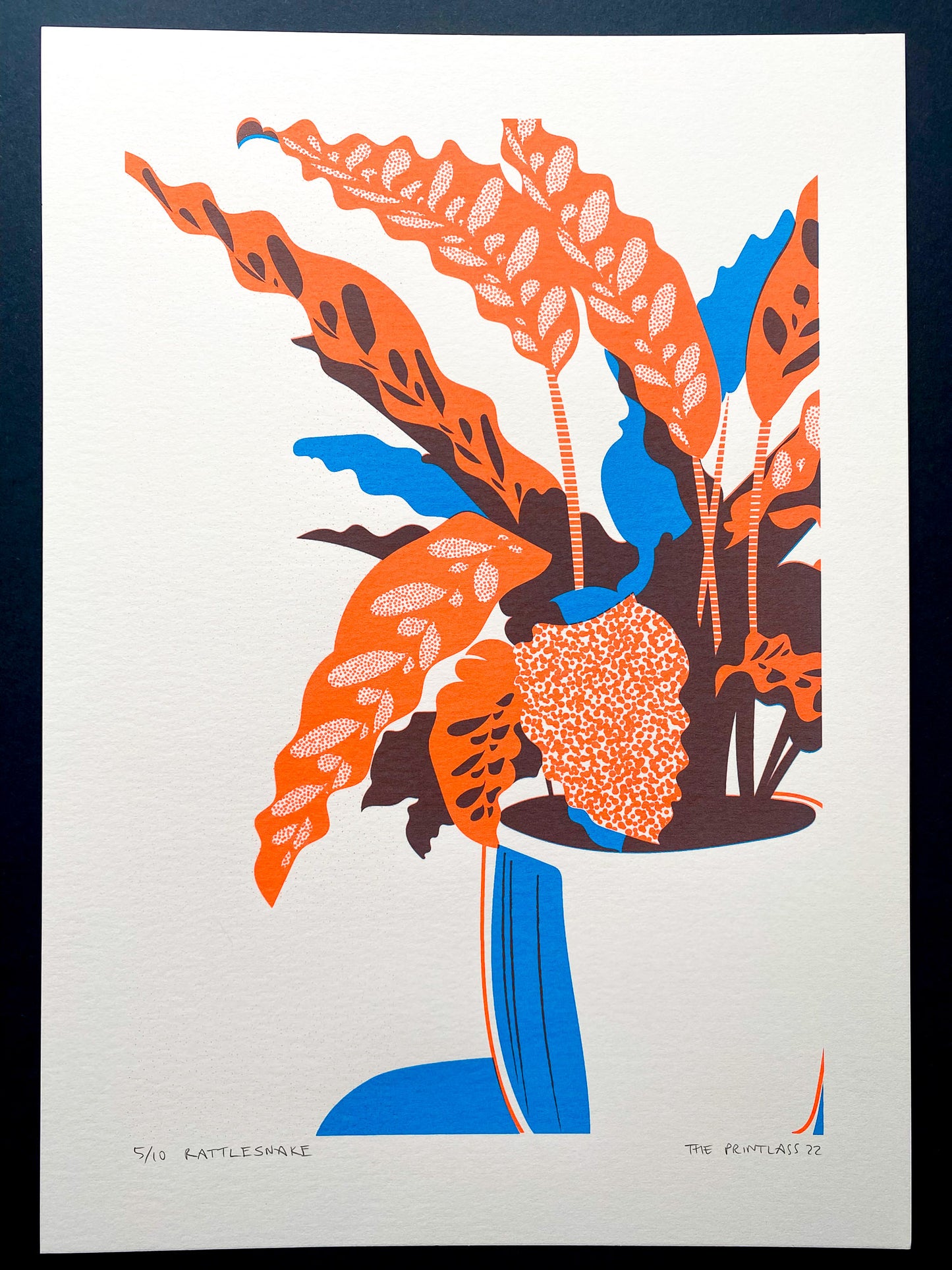 Neon Rattlesnake A3+ Screen Print