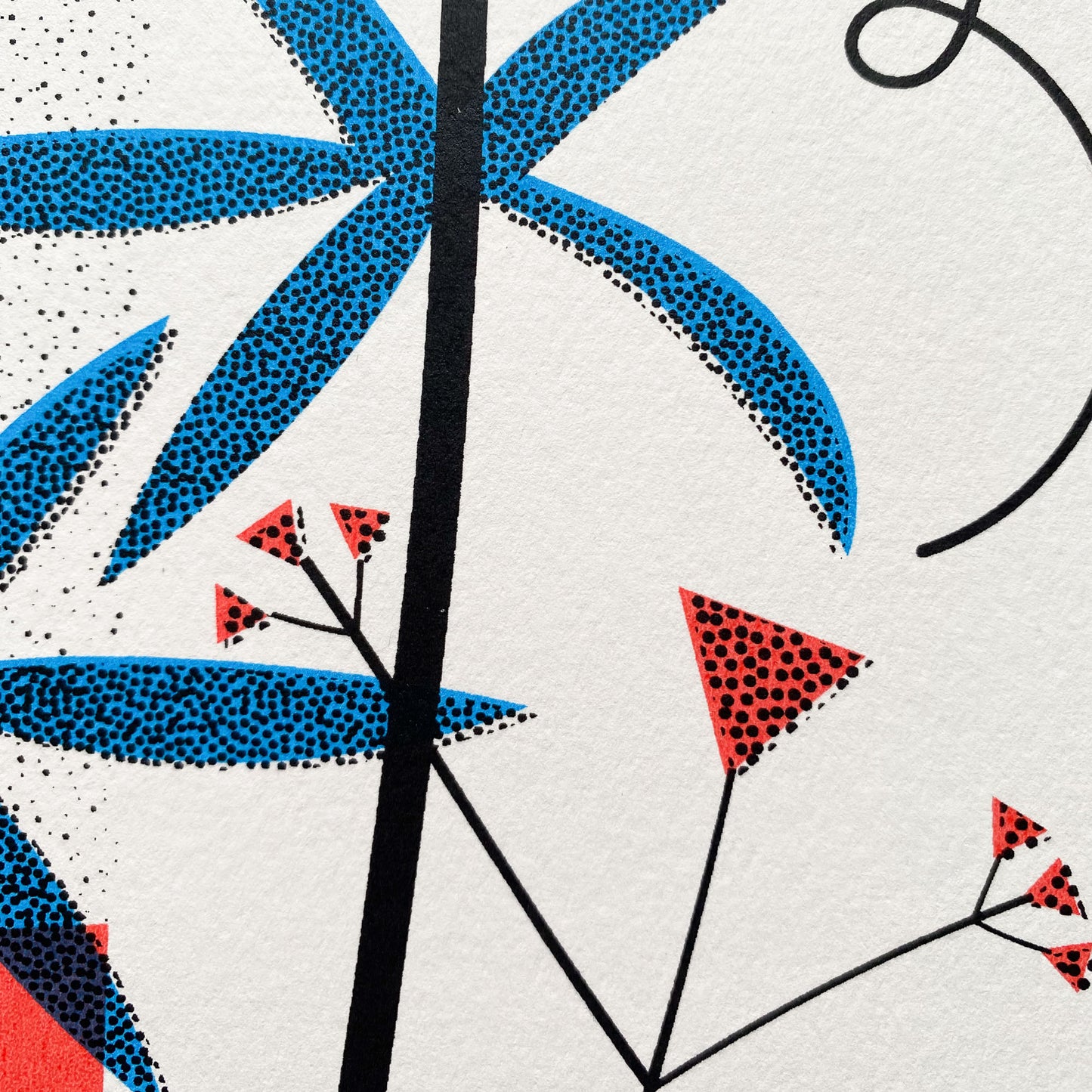 Seed Heads A3 Screen Print