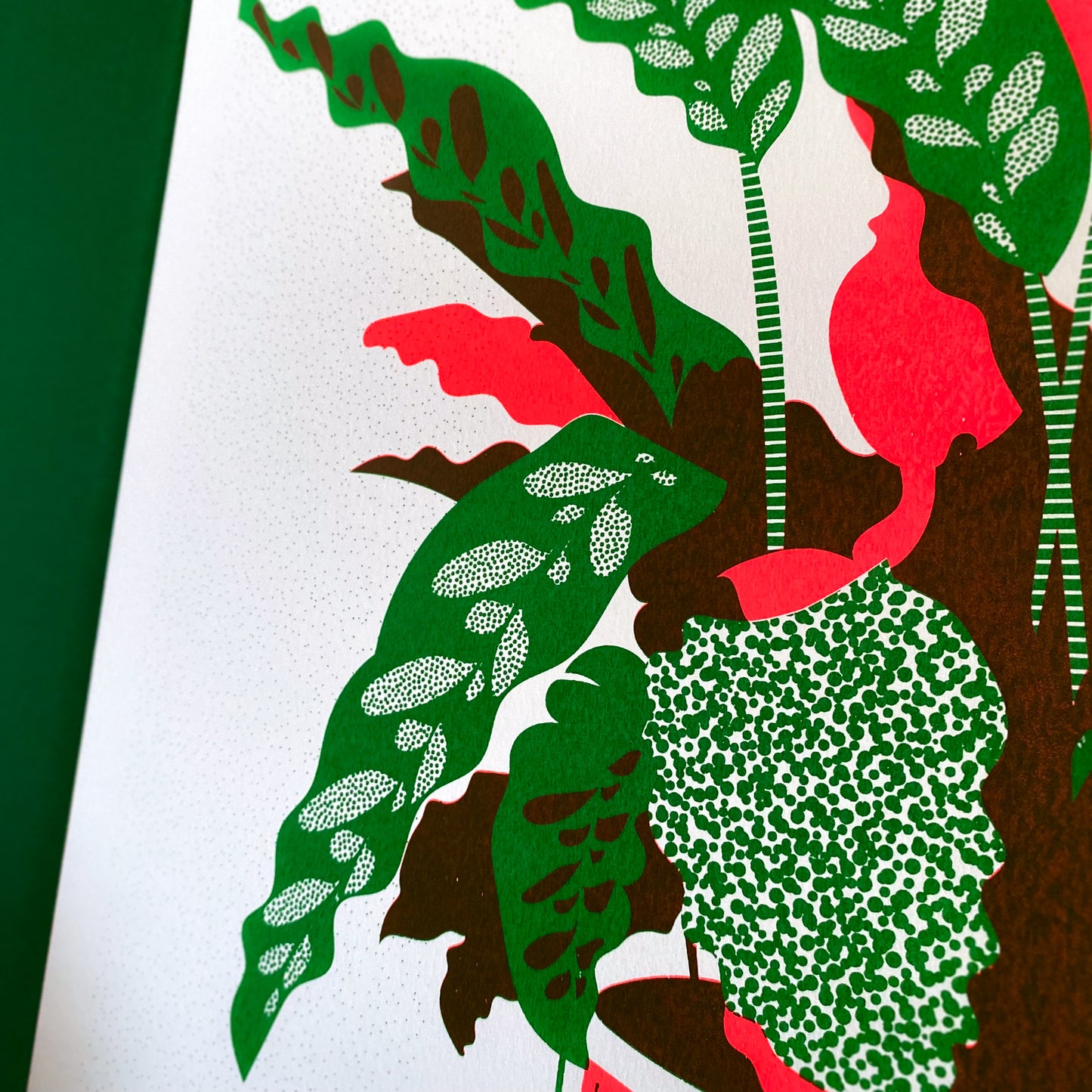 Rattlesnake Plant A3+ Original Screen Print