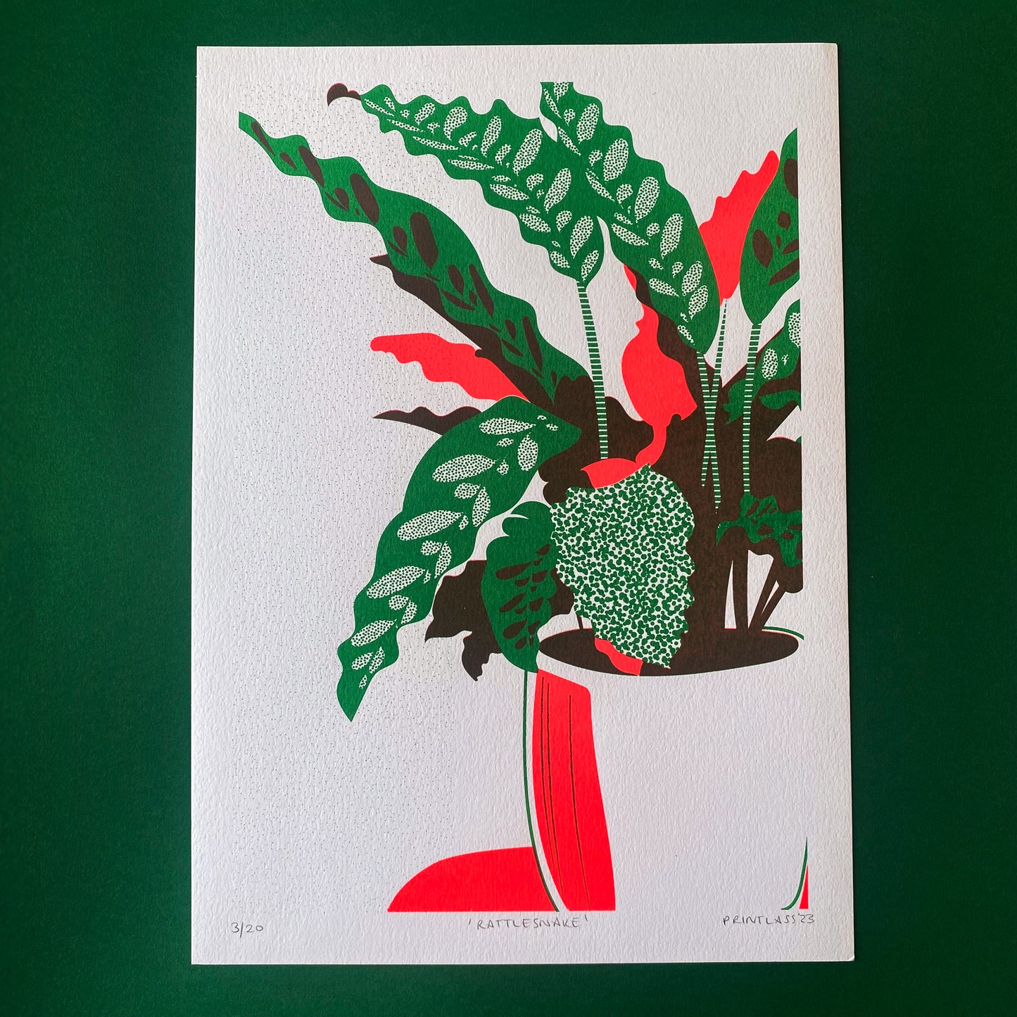 Rattlesnake Plant A3+ Original Screen Print