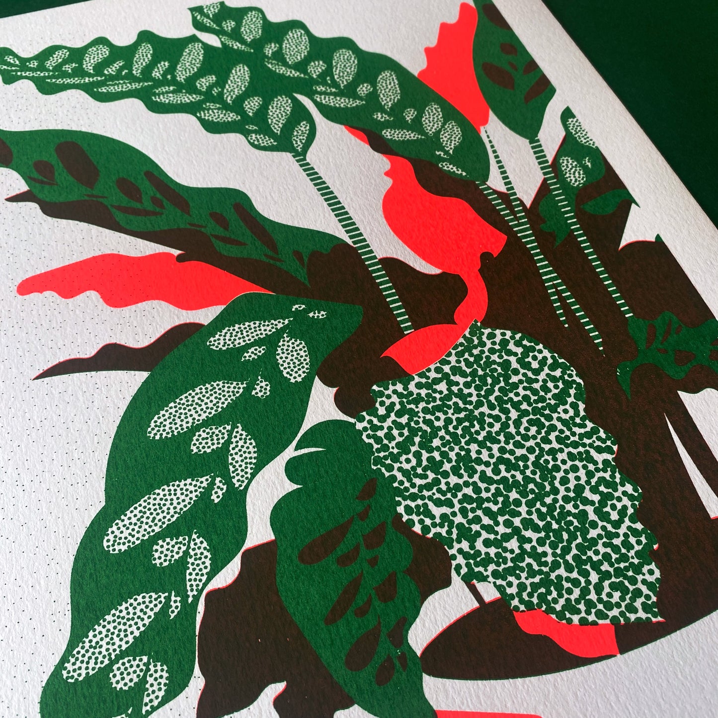 Rattlesnake Plant A3+ Original Screen Print