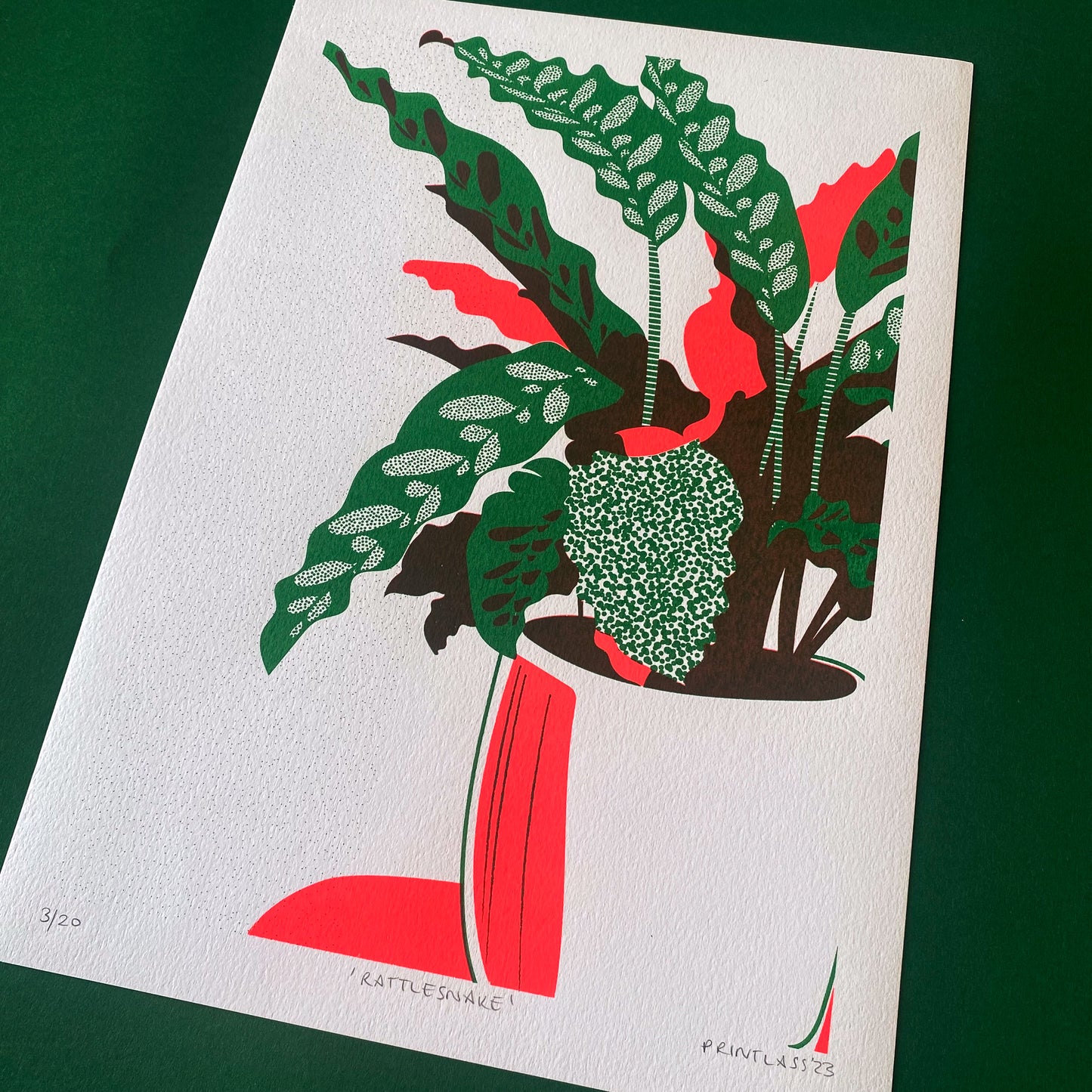 Rattlesnake Plant A3+ Original Screen Print